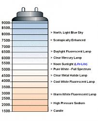 Changing HID K-Temps 4300K--6K-les-kelvin-scale.jpg