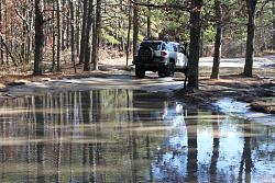 The GX at the Pine Barrens-little-water.jpg