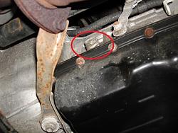 DIY : transmission flush and fill-fill-hole.jpg