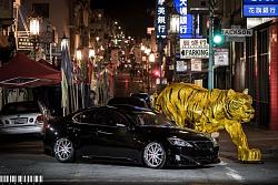 Night Photo Shoot-china-town-shoot.jpg