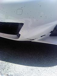 Hit a raccoon-bumper-040.jpg