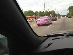 Purple/Pink (?) IS-024-large-.jpg