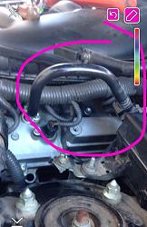 Need to replace the fuel line-image.jpg
