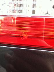 Tail light Help!!!-spider-tail.jpg