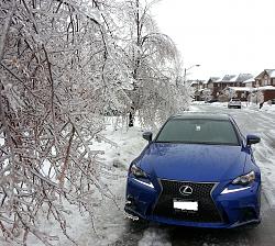 Ice Storm 2013-ice6.jpg