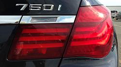 Tinted Rear Lamps &amp; Reflectors-5.jpg