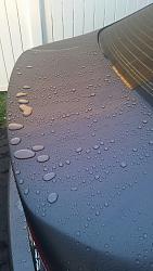 Obsession with detailing / Polished, Waxed &amp; Sealed / Pics-lexi-water-beading-3.jpg