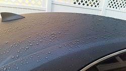 Obsession with detailing / Polished, Waxed &amp; Sealed / Pics-lexi-water-beading-2.jpg