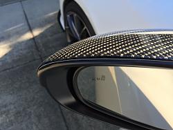 Carbon Fiber Mirror Covers-img_1396.jpg