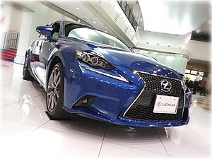 2014 Lexus IS Real World Photo Thread-xzimk7e.jpg