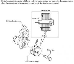 Who wants an IS-F specific Oil Cooler kit?-is-f-oil-cooler.jpg