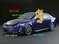 Doge IS F... and an introduction-doge-is-f.jpg