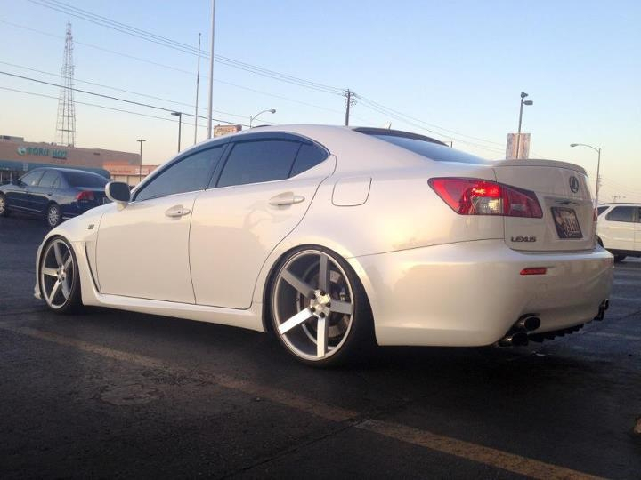 Name:  Vossen-14.jpg
Views: 14092
Size:  191.7 KB