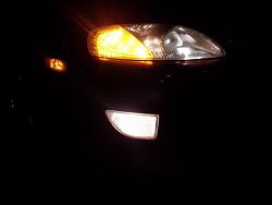 What does your lights look like?-lexfogs.jpg
