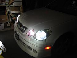 My Polarg M-6 bulbs arrived!-polargm-6bulbs.jpg