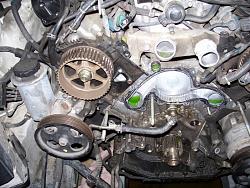 1998 LS400 Timing Belt Part Number and General Questions-100_0829.jpg
