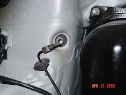 Air suspension, '94 rear strut install....-air-strut1.jpg.jpg