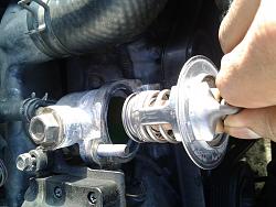 Telltale signs of a Headgasket?-20140326_173514.jpg