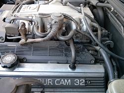 Fuel Leak in Engine Bay-leak.jpg