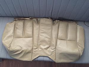 Upholstery question-rear-bench-seat-cushion-front.jpg