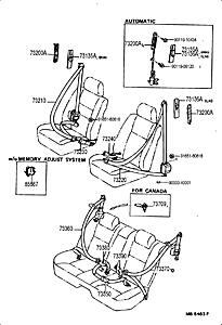 Seat belt comparability-w56d3qp.jpg