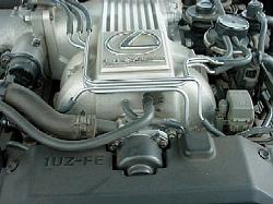 Anyone know what this is?-power-steering-air-vaccum-hose_closeup1.jpg