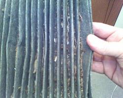 CABIN/AC &amp; Seat filter PICS-filthy-cabin-ac-filter-closeup.jpg