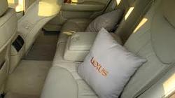 Curtains, pillows, neck pads etc...:)-z-pillow.jpg