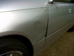 A deer ran into the front fender-10409245_1495187487417849_5921095055813623771_n.jpg