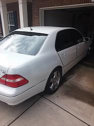 Garage Queens gets spring bath!-queen1.jpg