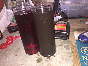 DIY 15 Quart ATF Transmission Fluid FLUSH 2004 Lexus LS430 Done at Home-atfcomparison1.jpg