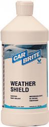 Car Care-weather-shield.jpg