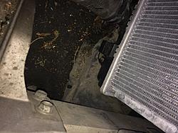 Radiator Replacement-img_1769.jpg