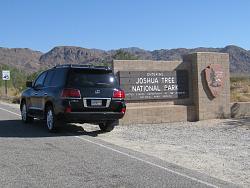 Random LX Picture of the Day - Post Yours-2012-10-joshua-tree-004.jpg