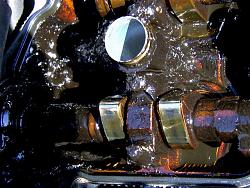 Defective ES Engines???-oilgel3.jpg