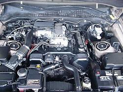 Engine hose rupture, need assistance-v8-hose.jpg