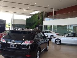 Lexus of Omaha Brand New Building-show-floor-3.jpg