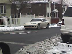 Spotted-photo_022707_001.jpg