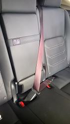 Stupid seatbelt Rant!-seatbelt.jpg