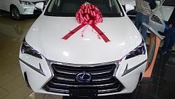 Pictures of NX's that arrived to dealer with MSRP.-wp_20141205_12_10_03_pro.jpg