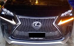 Premium LED DRL question-nxturn0.jpg