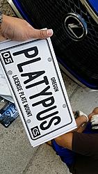 Cravenspeed Platypus License Plate Mount relocate-snapchat-189284119.jpg