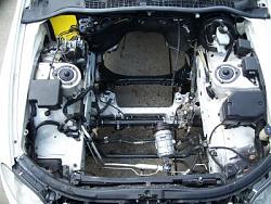 engine bay update!-engine-bay.jpg