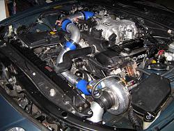 What's Under Your Hood?-img_0506.jpg