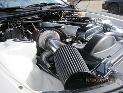 What's Under Your Hood?-picture-013.jpg