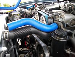 any1 with gates racing radiator hoses? need help please-000_0007.jpg