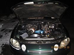 What's Under Your Hood?-picture-346.jpg