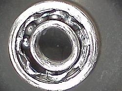 Belt Idler Pulley noise?-img_20110404_145318.jpg