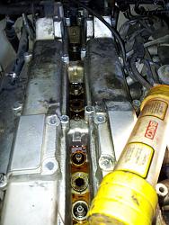 Oil soaked spark plugs!-oily.jpg