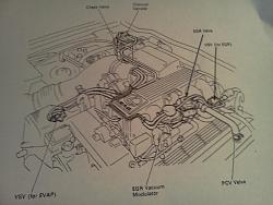 Fuel Leak-img_20130204_142632.jpg